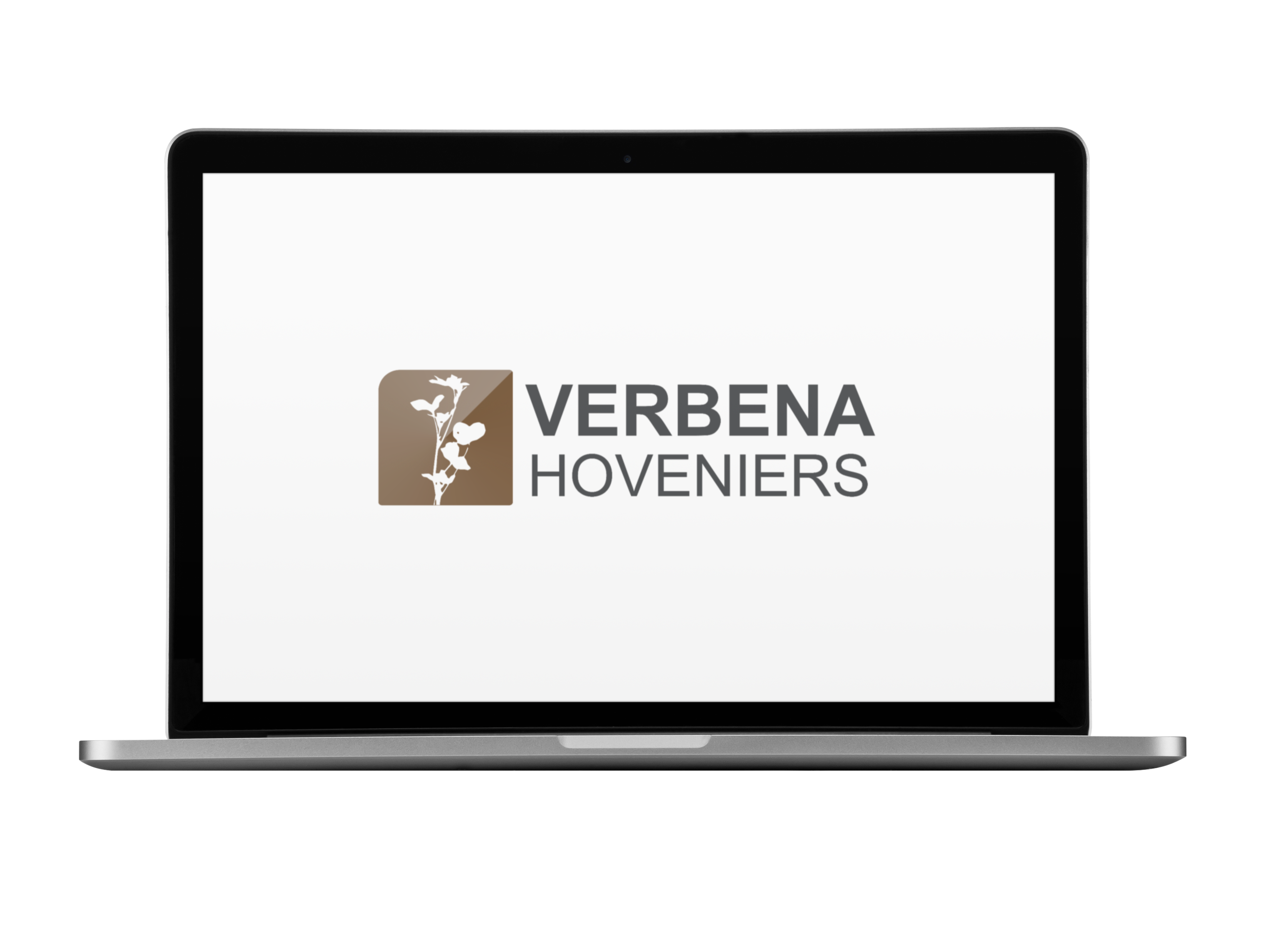 Verbena Hoveniers