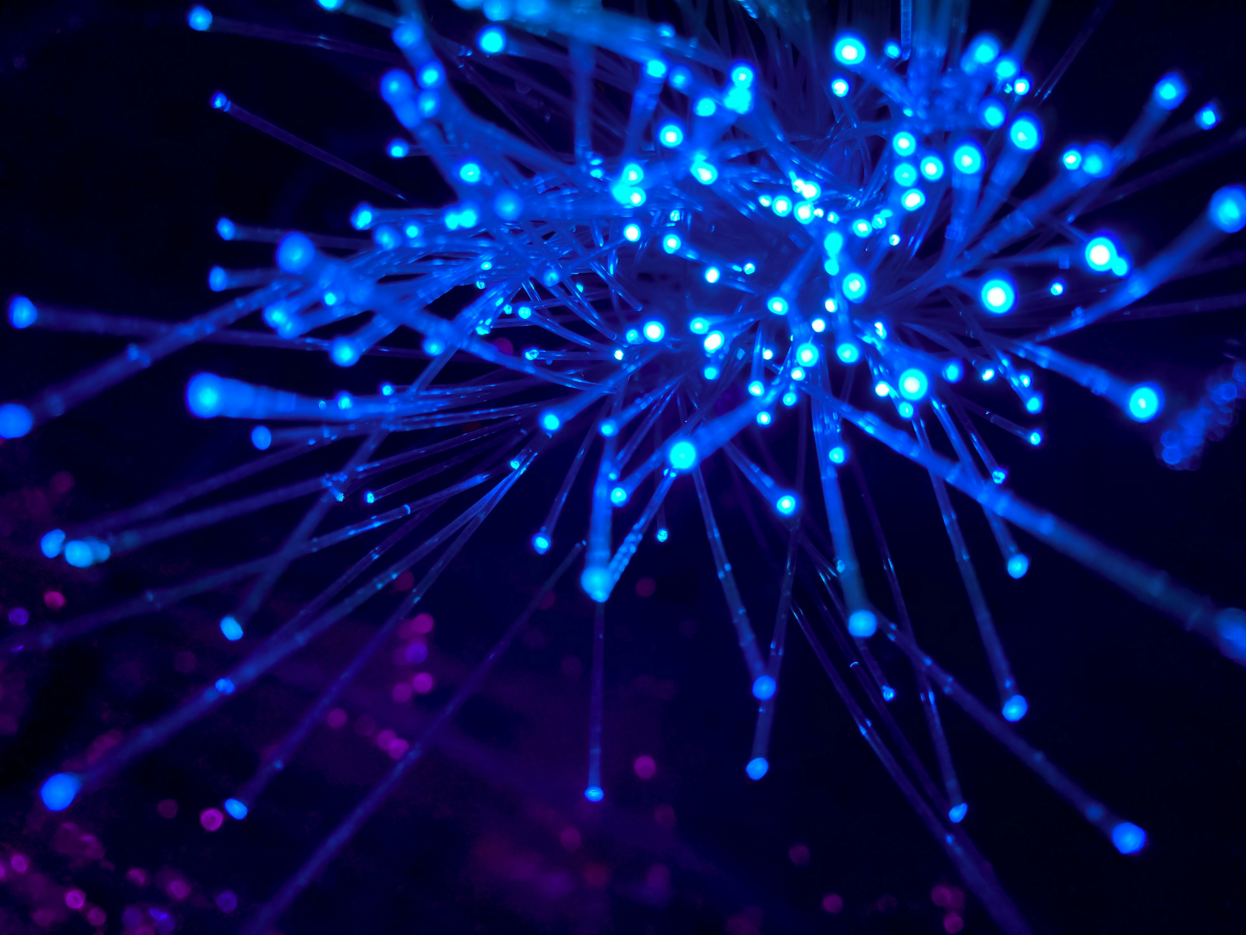 Zo werkt Webmedia - Nijmegen aan een veiliger internet 1