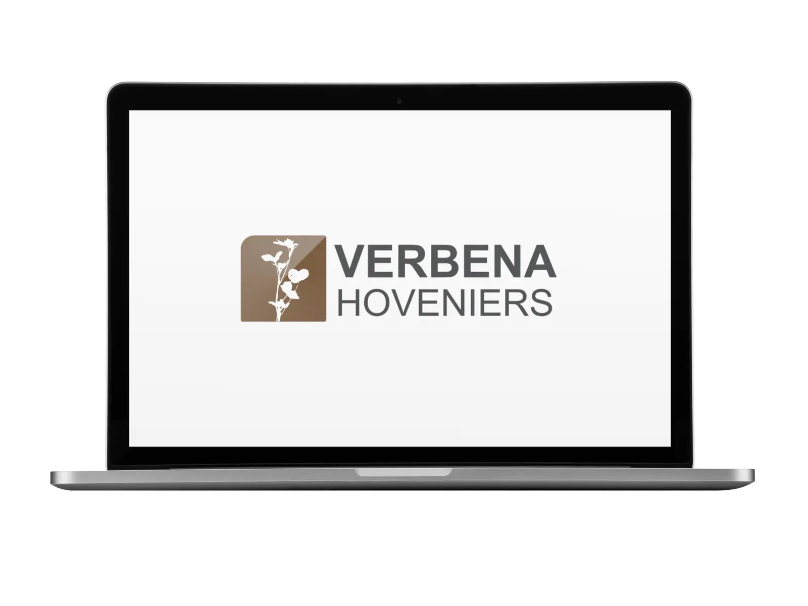 Verbena Hoveniers