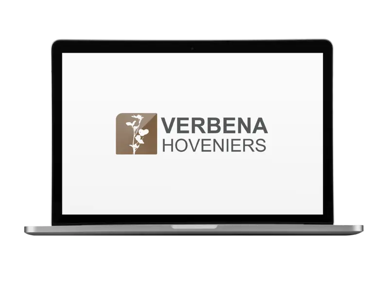 Verbena Hoveniers